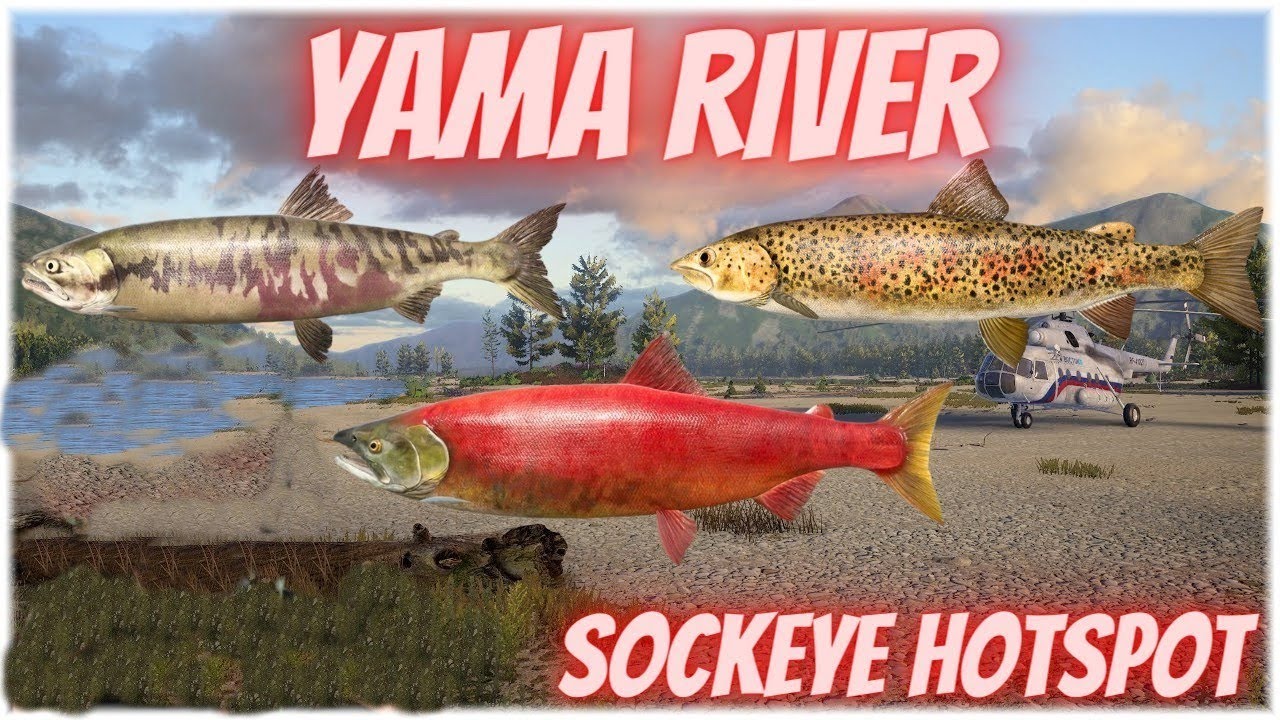 Russian Fishing 4 Yama River Sockeye Active Spot