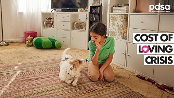 PDSA: The Cost of Loving (Short)