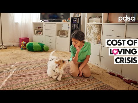 PDSA: The Cost