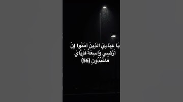 #ارح_قلبك #قران_كريم #تلاوة_خاشعة #اكسبلور #لايك #عبدالرحمن_مسعد