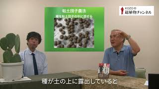 第10回 わら一本の革命ークローバーと粘土団子を使った福岡正信氏の不耕起栽培【KOZOの超植物チャンネル】