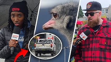 CFIA under fire: Protests erupt across Canada after senseless ostrich slaughter
