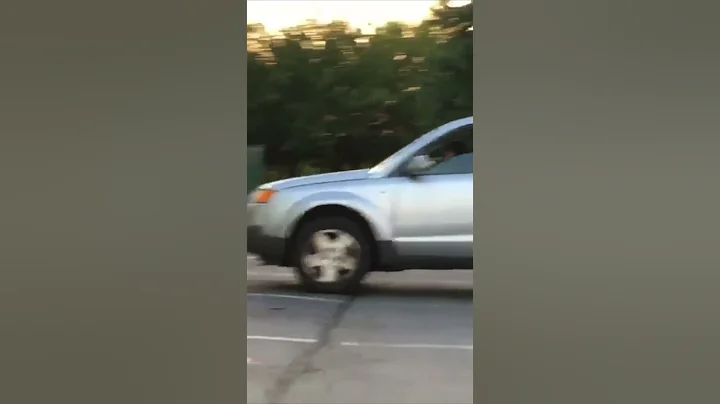 This dog was honking the car horn at it’s owner to hurry up 😂 - DayDayNews