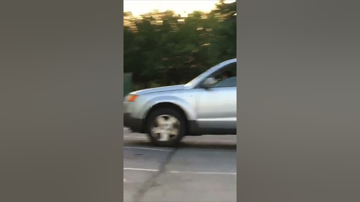 This dog was honking the car horn at it’s owner to hurry up 😂