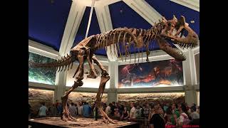 Dinosaur  Disneys Animal Kingdom  Bill Nye Queue Dialog