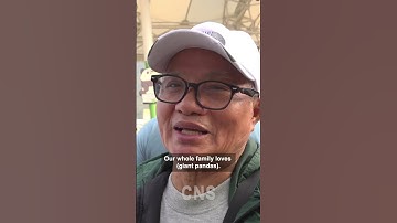 Hong Kong-born giant panda cubs meet public#giantpanda #animals