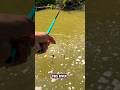 How to catch unique fish in nature river with fishing rod #fishing #shorts