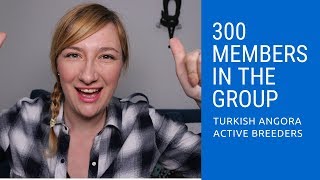 We are 300 in the group! Turkish Angora Cats Active Breeders rocks! by Turkish Angora Cats Active Breeders 51 views 5 years ago 2 minutes, 3 seconds
