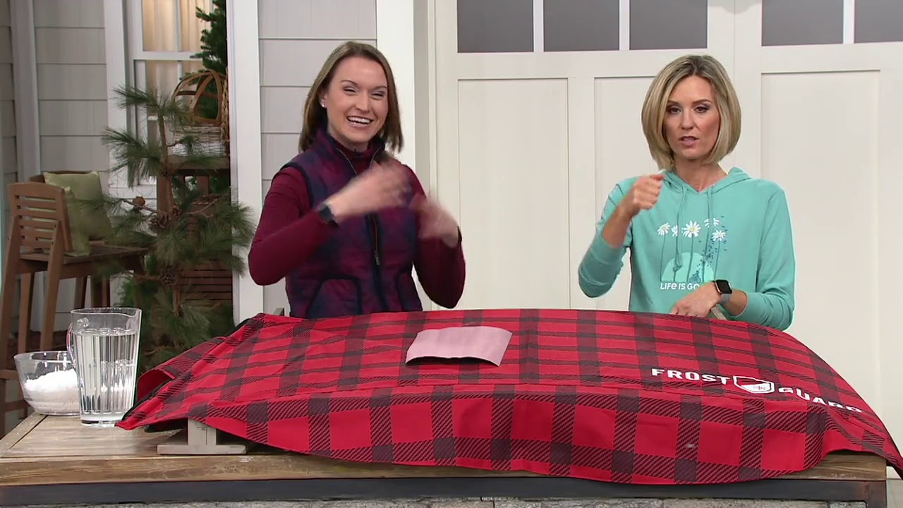 FrostGuard Windshield Cover with 2 Security Panels & Mirror Covers on