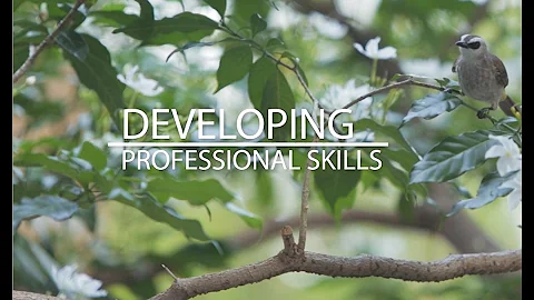 Developing Professional Skills - DayDayNews