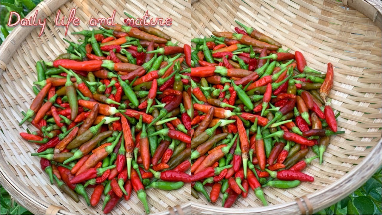 planted grillspiess Skewers LP – Planted Foods DE/AT