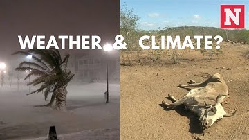 What Is The Difference Between Weather And Climate?