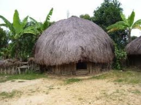 Wow ini dia rumah adat Papua YouTube