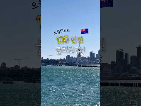 오클랜드에서 100년전 만들어진 부두?! 🌊이송새의 뉴질랜드 교환 일기 Ep. 61🌊 #바다 #바다낚시 #오클랜드 #뉴질랜드 #뉴질랜드일상