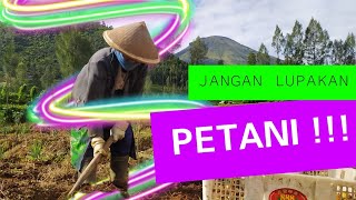 Lagu untuk petani