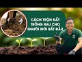 Bí Quyết Trộn Đất Trồng Rau Sạch Tốt Nhất Cho Người Mới Bắt Đầu