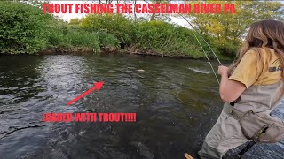 THE MOTHER LOAD OF TROUT! 41 trout landed! Fly fishing the Casselam River PA Catch & Release.