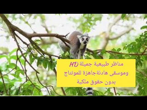 طبيعية جميلة موسيقى جاهزة للمونتاج  