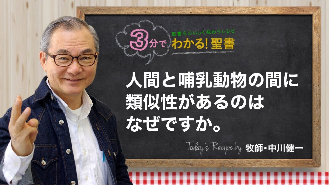 Q325 人間と哺乳動物の間に、類似性があるのはなぜですか。【3分でわかる！聖書】