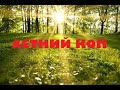 ЛЕТНИЙ КОП