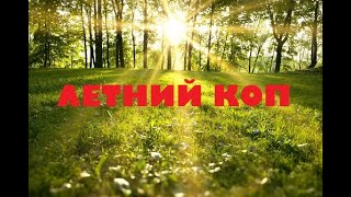 ЛЕТНИЙ КОП