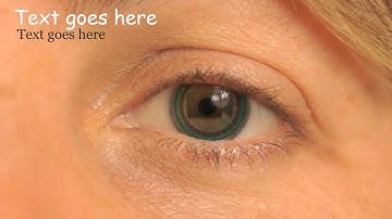 Live Action Intros Sample Video 4