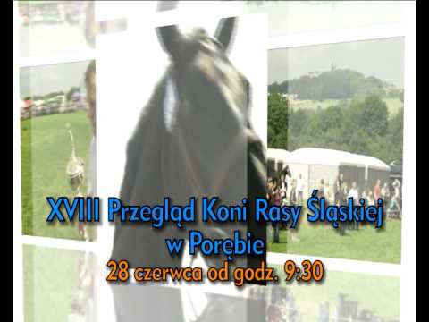 XVIII Przegląd Koni Rasy Śląskiej w Porębie - 28 czerwca 2014r.