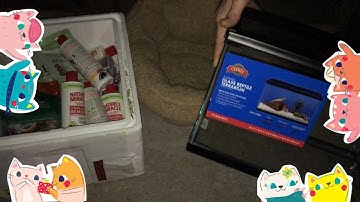 Found Another Aquarium! PetSmart Dumpster Dive #14