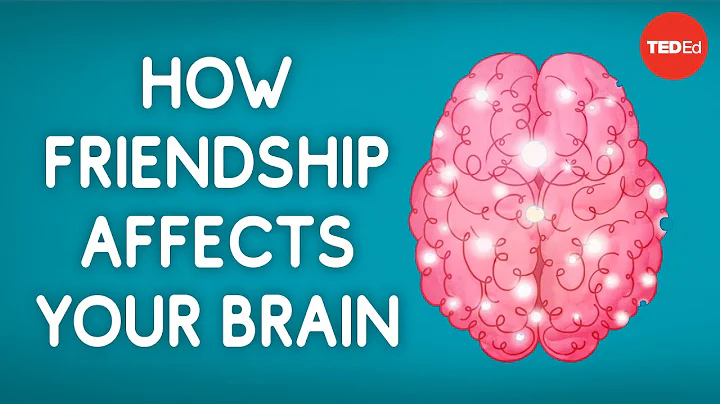 How friendship affects your brain - Shannon Odell - DayDayNews