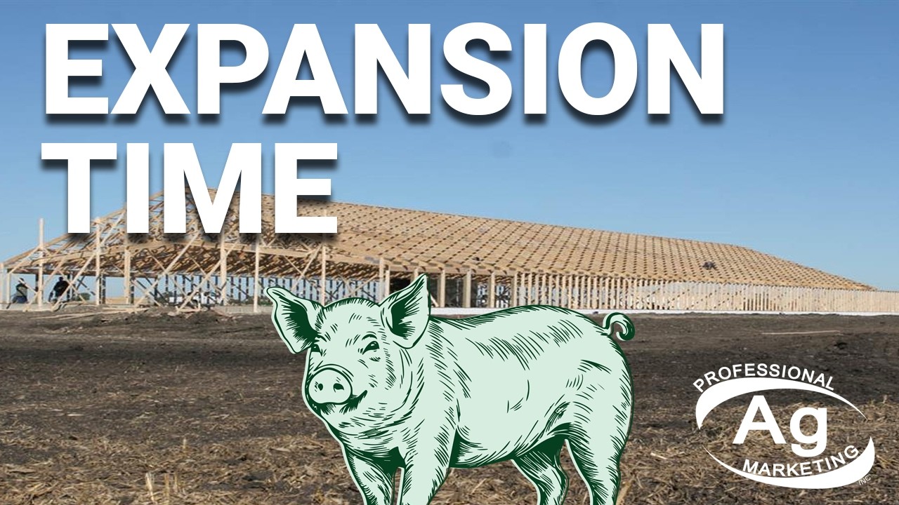 Comeback Story | Hog Talk February 27th, 2026