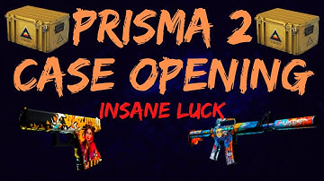 The BEST Possible Luck in a Case Opening Video | Prisma 2 Unboxing