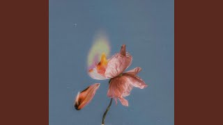 Your Love Is The Answer