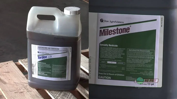 Weed of the Week #630-Canada Thistle (From Ag PhD #630 5/2/10)