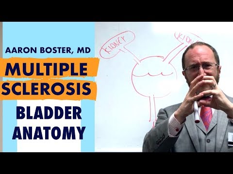 Multiple Sclerosis Bladder Issues: Three Most Common Problems