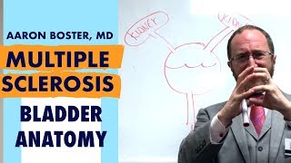 Multiple Sclerosis Bladder Issues: Three Most Common Problems