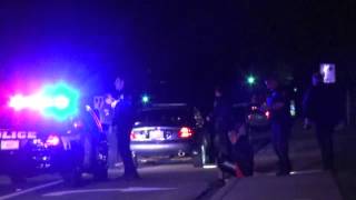 Gun Investigation Mt Prospect Police Traffic Stop on Elmhurst Road