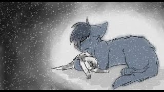 Коты Воители:Сегодня,мои родители,убили меня...Чит.Оп!! Коты Воители:Сегодня,мои родители,убили меня...Чит.Оп!!