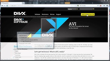 DivX encoder download: Do those people have brains?!