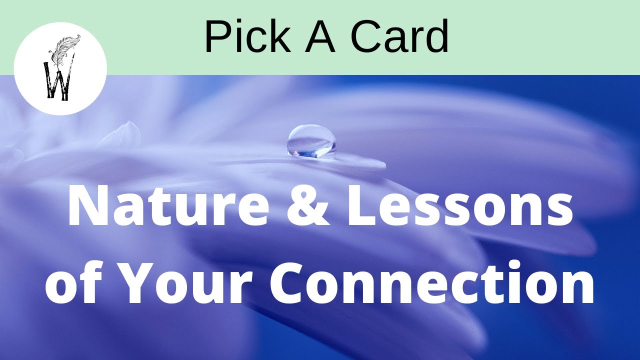Pick A Card - The nature & lessons of your soul connection (in depth)