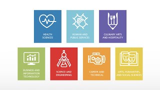 Areas of Studies — Business and IT