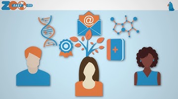 Your association wants to transfer to ZooEasy, how does this work?