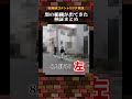 黒の組織が出てきた検証まとめ #名探偵コナン