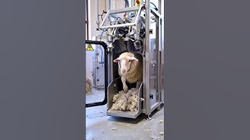 This Machine Changes Everything for Farmers!