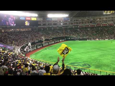 2019.3.3 阪神タイガース対福岡ソフトバンクホークス オープン戦 阪神試合前1-9