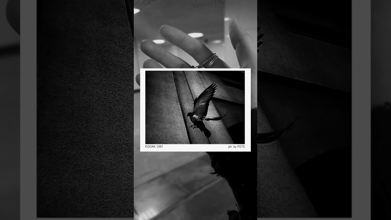 #monochrome #photography #streetphoto #streetphotography #kodak #bwphotography #rek #aesthetic
