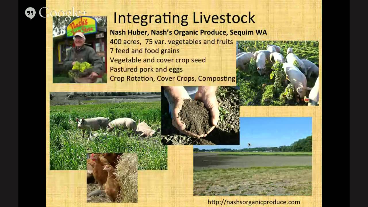 SACE Webinar: Farmers Adapting to New Risks in a Changing Climate