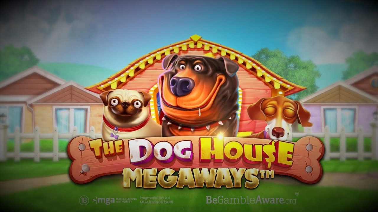 🐾 The Dog House Megaways Slot Review | Big Wins, Features & Tips 🎰 ...