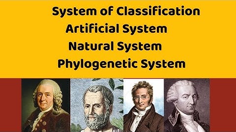 System of Classification - Natural system , Artificial System and Phylogenetic System