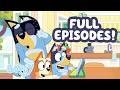 LIVE Bluey And Bingo Faceytalk With Their Cousins Bluey 