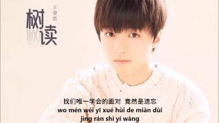 王俊凯 Karry Wang New Single 树读 (Shù Dú) | Ode to A Tree / Tree’s Story | Chinese - Eng Sub - Pinyin